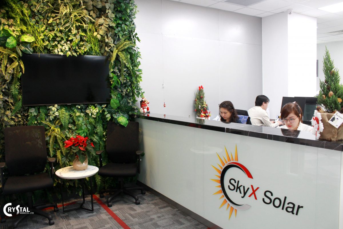 Thiết kế nội thất văn phòng phong cách Eco xanh tại Sky X Solar