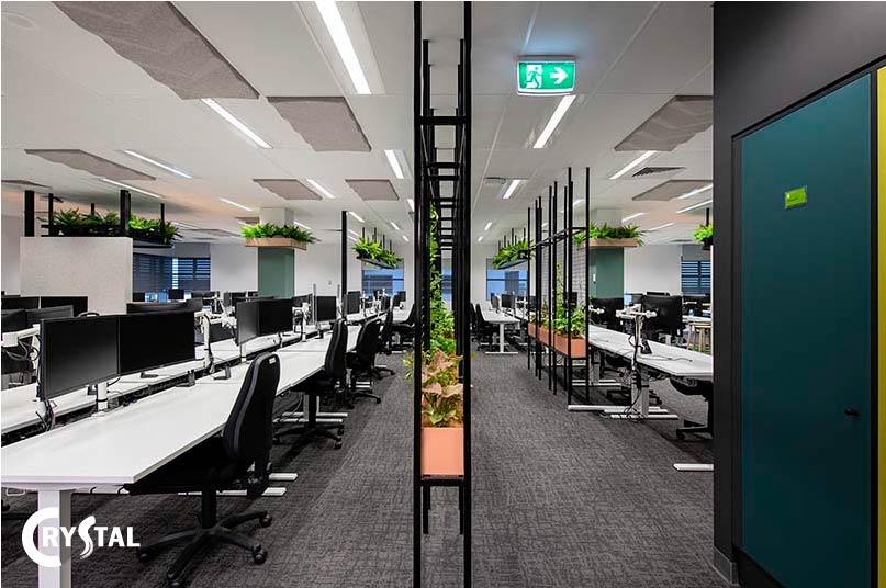 biophilic-office-design