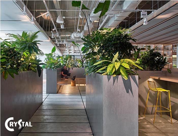 biophilic-office-design