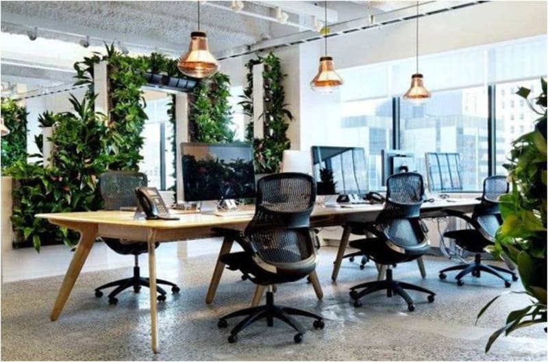 thiết kế văn phòng xanh cao cấp