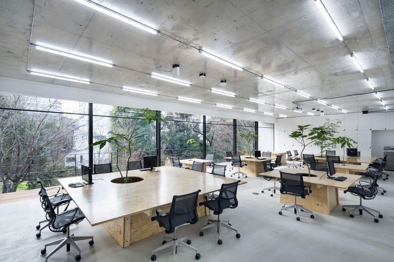 thiết kế văn phòng xanh - Crystal Design TPL