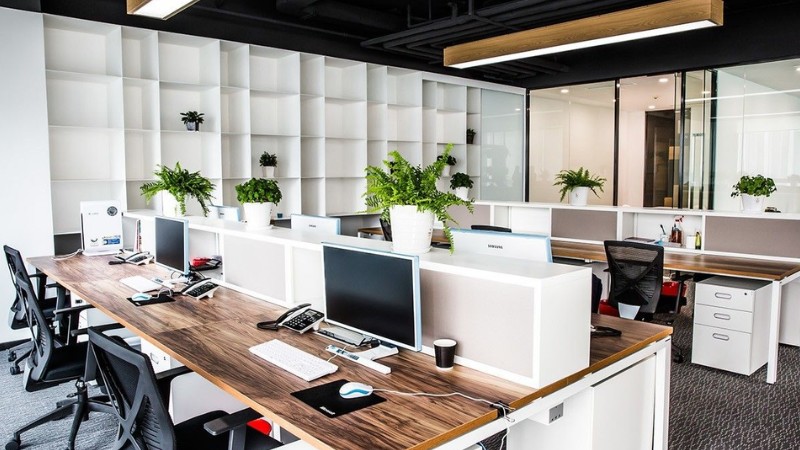 Thiết kế văn phòng tạo nguồn năng lượng tích cực cho nhân viên làm việc