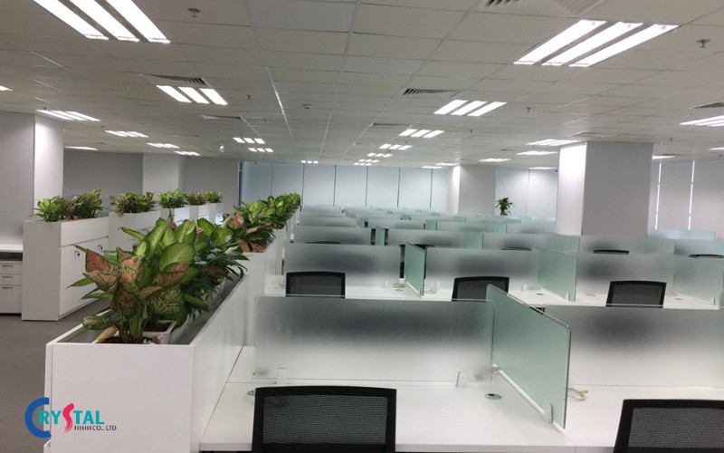 Bàn làm việc được ngăn cách bằng vách ngăn kính mờ cho sự riêng tư