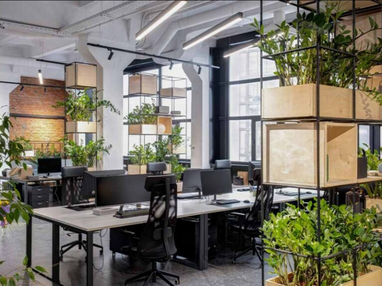 Mẫu thiết kế văn phòng xanh đẹp