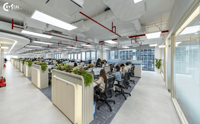 Ưu tiên thiết kế không gian mở kết hợp thiên nhiên