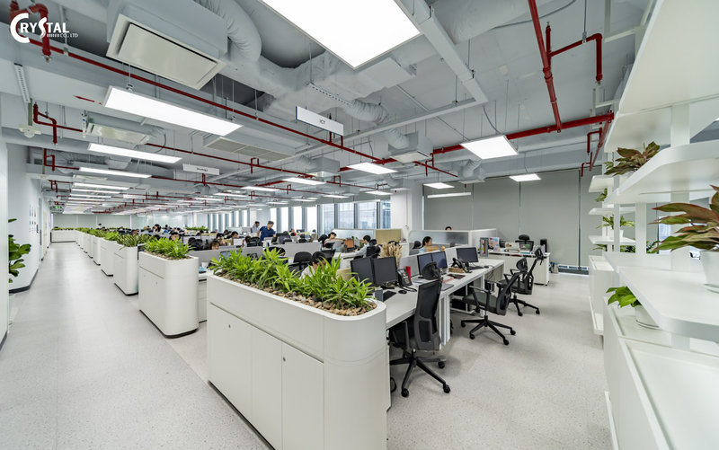 Khu làm việc chung hiện đại với thiết kế tối giản, tông màu trắng chủ đạo và cây xanh trang trí