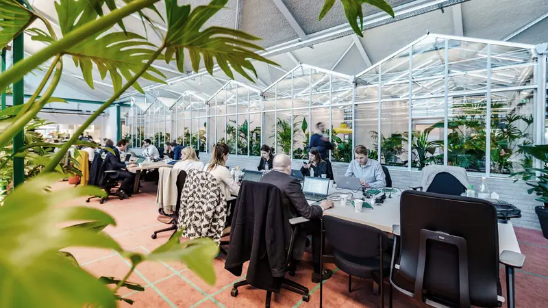 Mô hình Coworking Space xanh mát, kết hợp cây cối và ánh sáng tự nhiên tạo cảm hứng làm việc.