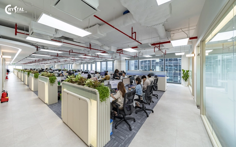 Khu vực làm việc open-space phong cách hiện đại với bàn ghế tối giản, sàn gỗ sáng màu và trần thạch cao phẳng (Nguồn: Deco Crystal)