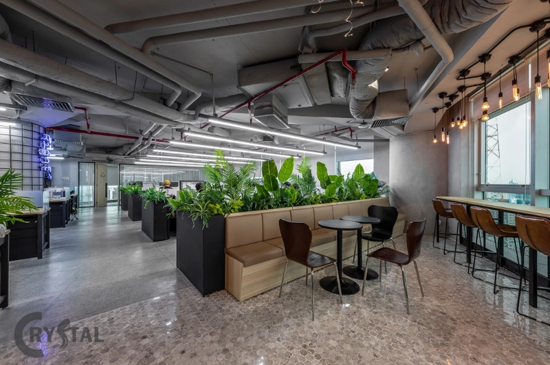 Văn phòng lớn phong cách công nghiệp với các cụm cây xanh tạo điểm nhấn giữa không gian làm việc (Nguồn: Deco Crystal)