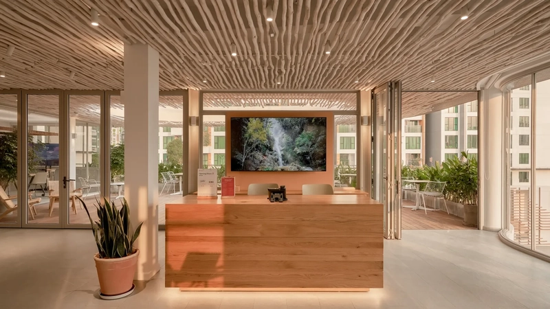 biophilic contemporary interior design with natural light and greenery