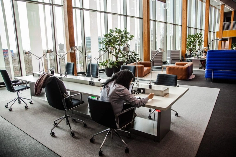 modern office interior design supporting health and productivity