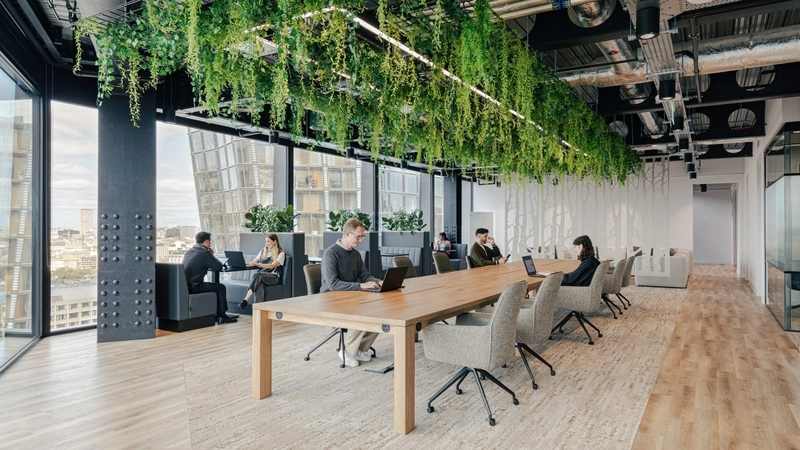 modern office interior design supporting mood through daylight