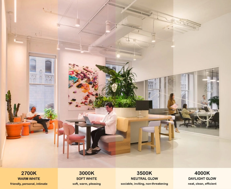 modern office interior design with circadian lighting system