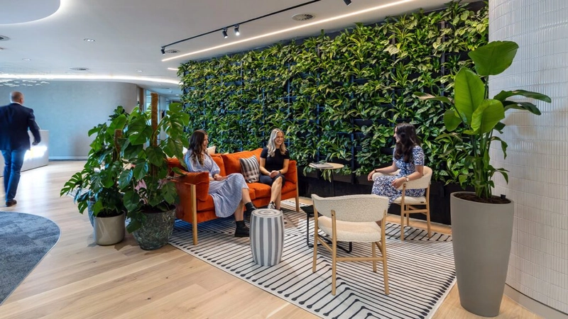 Mẫu văn phòng 80m2 theo phong cách Biophilic (Nguồn: Internet)