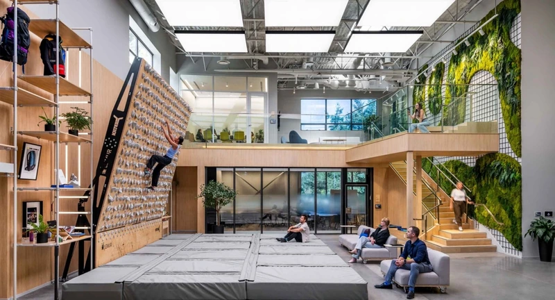 A living green wall climbing in a luxury co-working office - floor-to-ceiling ferns and trailing plants contrasting with steel ceiling structure. (Source: Internet) 