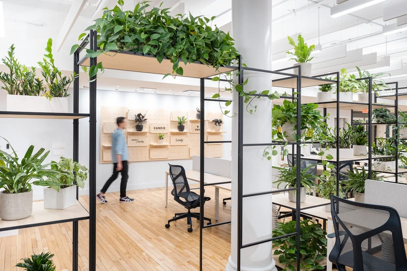 Mẫu văn phòng 80m2 theo phong cách Biophilic (Nguồn: Internet) 