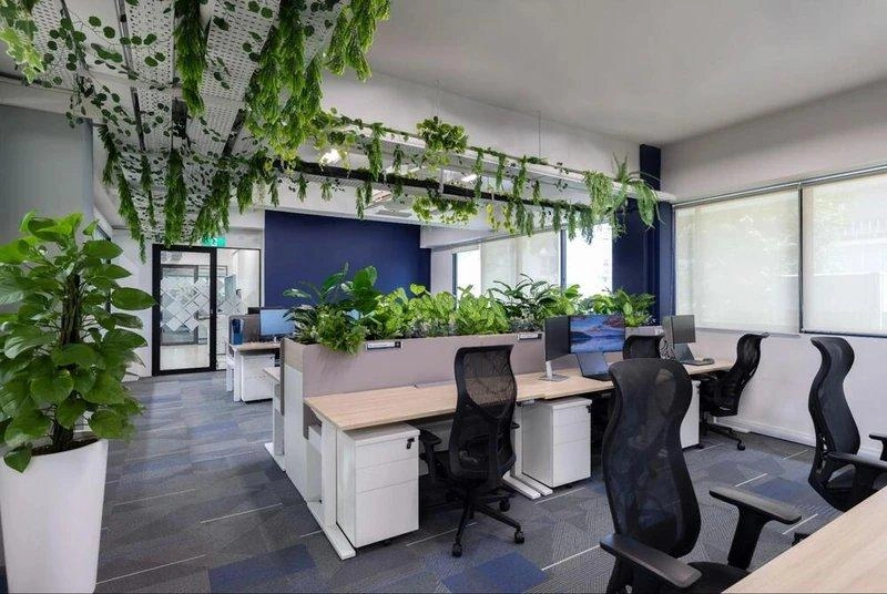 Cây treo trần và bồn cây ngăn bàn là cách tạo điểm nhấn rẻ nhất cho một văn phòng 80m2