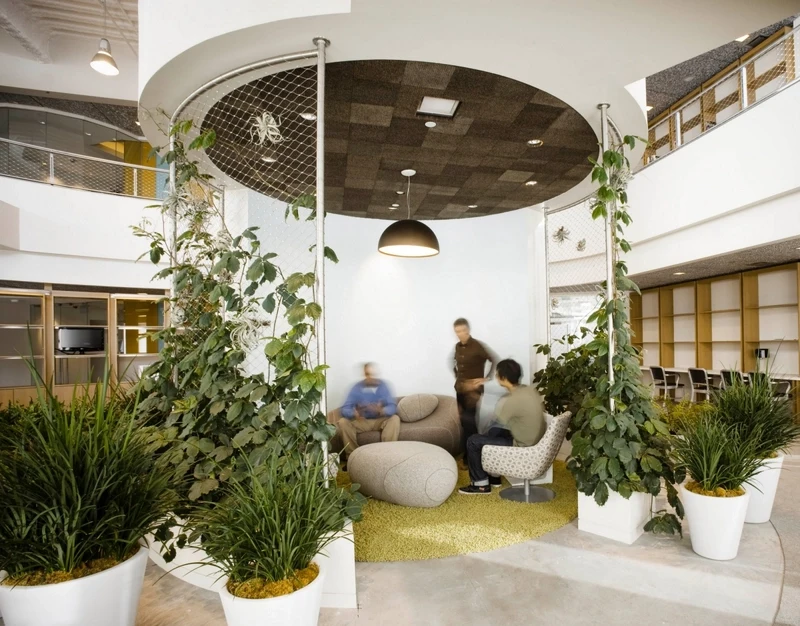 A multi-level biophilic discussion pod, defined by trellised vines and extensive planters, blurs the lines between structured architecture and nature