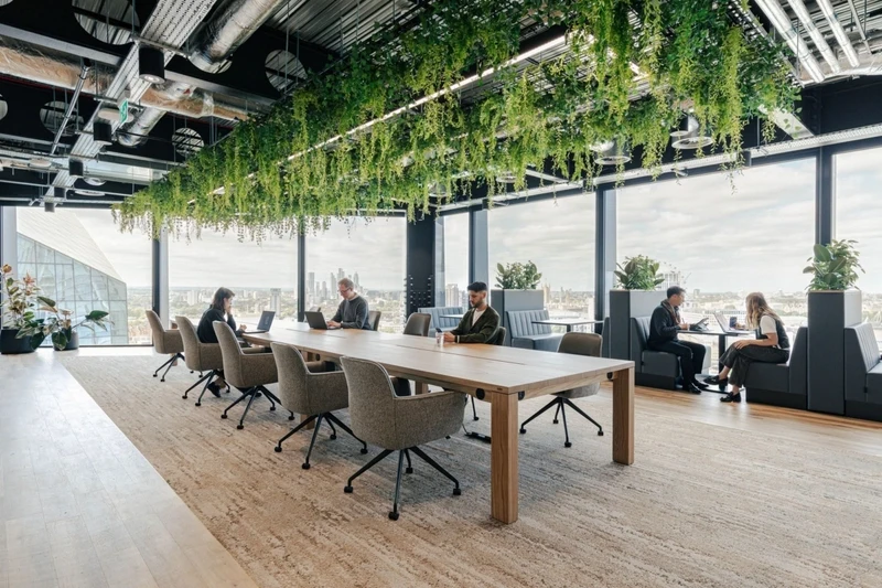 Seamless daylight harvesting minimizes reliance on artificial lighting, a decision often guided by a skilled workspace interior designer to enhance well-being