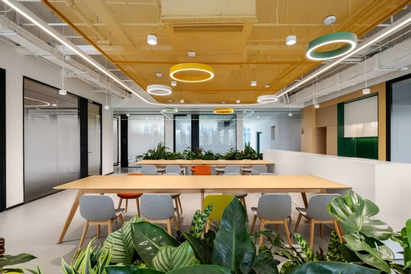 Suspended direct/indirect lighting fixtures brighten the ceiling while providing precise, glare-free illumination on the working surfaces below. (Source: Internet)