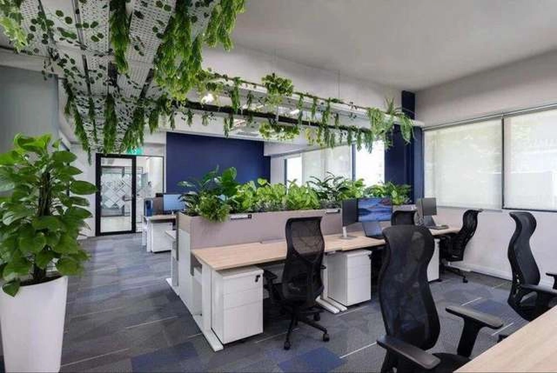 Cây treo trần và bồn cây ngăn bàn — cách tạo điểm nhấn rẻ nhất cho văn phòng 70m2