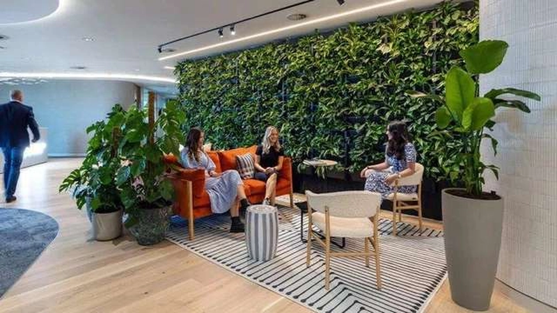 Tường cây xanh phía sau bộ sofa cam ở khu tiếp khách của một văn phòng 70m2